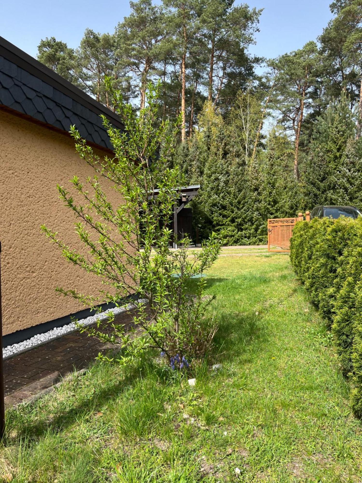 Ferienhaus Fjola Schenkendobern Buitenkant foto