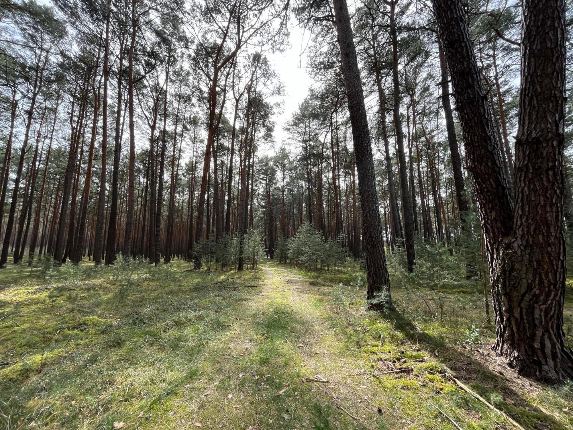 Ferienhaus Fjola Schenkendobern Buitenkant foto